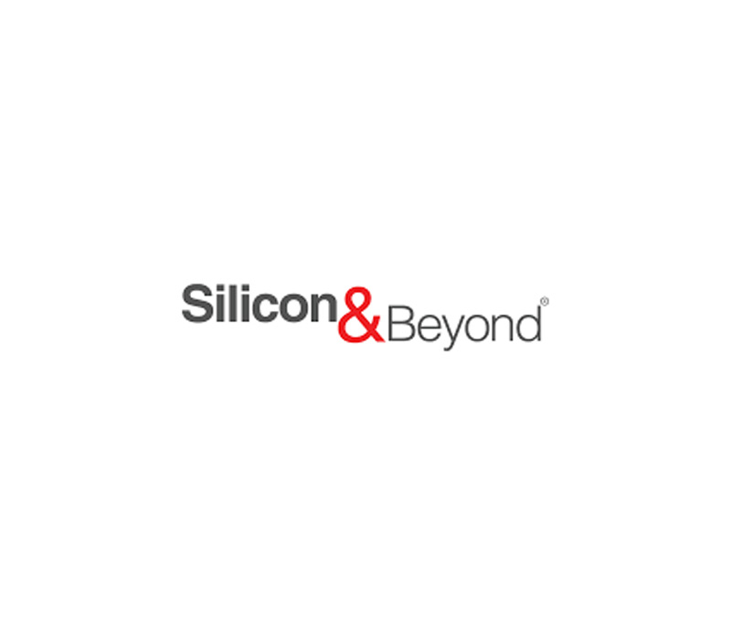 Silicon-and-Beyond-Private-Limited